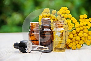 Tansy medicinal extract, tincture, decoction, oil, in a small bottle.
