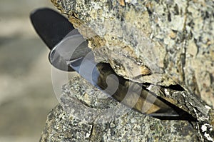 Tanto knife on rock