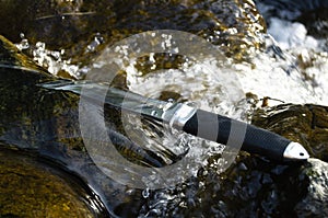 Tanto knife in water