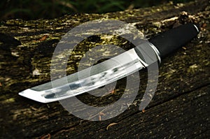 Tanto knife on wood