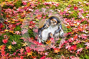 Tanuki raccoon dog with red maple leaf at Nanzen-ji, Kyoto