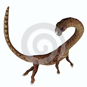Tanystropheus Dinosaur Side Profile