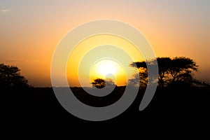 Tanzania, Africa, animal and landscape, sunset, sunrise photo