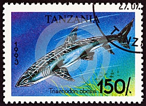 TANZANIA - CIRCA 1993: A stamp printed in Tanzania from the `Sharks` issue shows Whitetip reef shark Triaenodon obesus