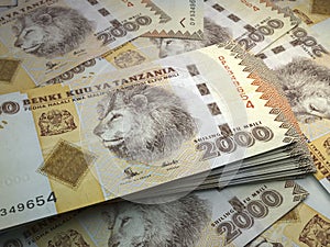 Tanzania money. Tanzania shilling banknotes. 2000 TZS shillings bills