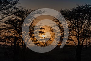 Tanzania, Africa, animal and landscape, lioness