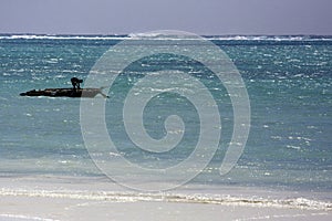 Tanzania - Zanzibar photo