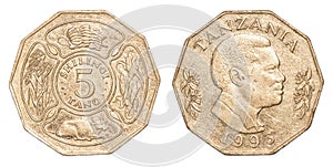 100 Tanzanian shilling coin photo