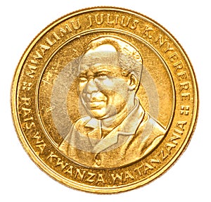 100 Tanzanian shilling coin photo