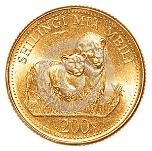 200 Tanzanian shilling coin photo