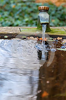 Tap at a stone abreuvoir
