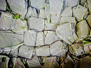 Tapai cover with green leaf