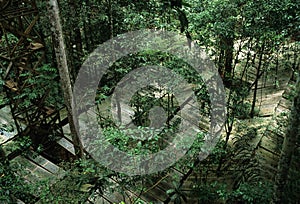 Tapajos National Park