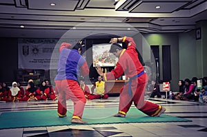 Tapak Suci Performance