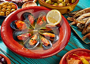 Tapas mejillones al vapor steamed mussels photo