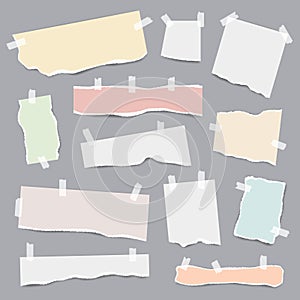 Taped paper. Ripped pieces of white and colored note pages vector realistic template