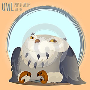 Tapered grey owl, vector cartoon series