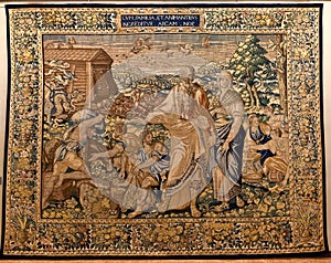 Tapestry Noahs Ark, Ca doro, Venice, Italy photo