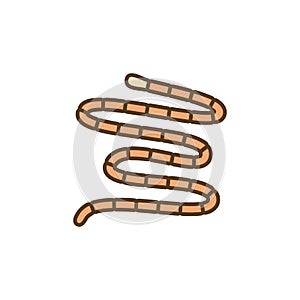 Tapeworm Cestoda vector concept colored icon or symbol