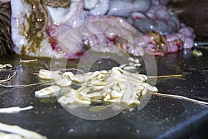 Tapeworm on a dissection table