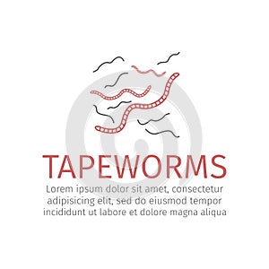 Tapeworms