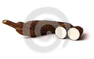 Tapioca root on white background isolated