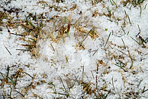 Tapioca snow graupel