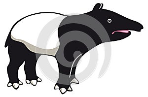 Tapir