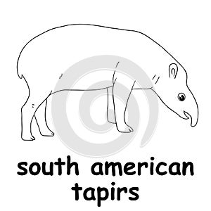 Kids line illustration coloring south american tapirs. outline vector for children. cute cartoon characters photo