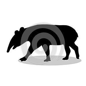 Tapir mammal black silhouette animal