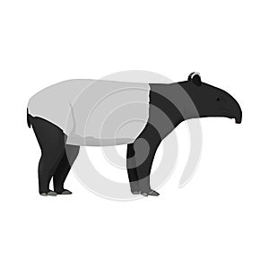 Tapirus indicus - Malayan tapir - Lateral view photo
