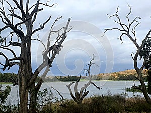 Tapoo Lagoon, Caurnamont, Murray Riverlands