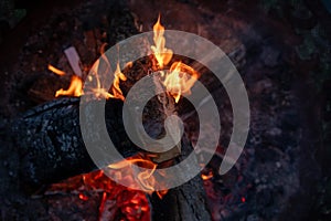A Close up shot of wood burning in an outdoor fire pit with flames