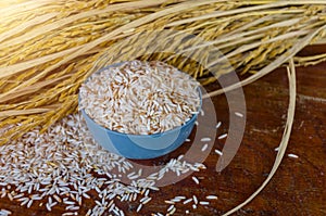 Tapping latex rubber tree, Rubber Latex extracted from rubber tree.