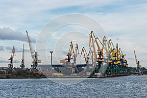 Taps row along the harbor shoreline.
