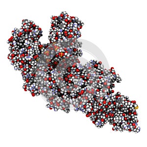 Taq polymerase Thermus aquaticus polymerase enzyme bound to DNA, 3D rendering. Protein used in PCR polymerase chain reaction,.