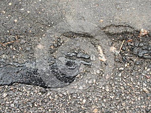 Tar. Gray textures asphalt set contrast with cracks, wet asphalt, texture concept