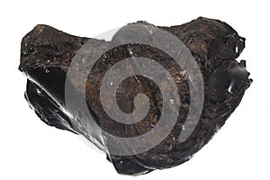 Tar isolated on white background