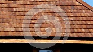 The tar oiled cedar wooden shingle rooftop of the house