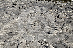 Tar over stones to protect The Brouwersdam