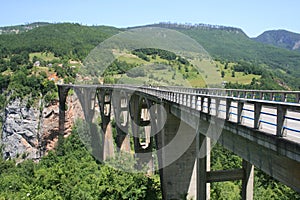 Tara Bridge