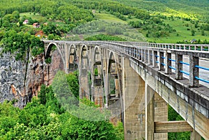 Tara Bridge photo