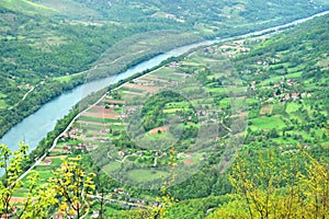 The Tara National Park Serbia