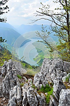 The Tara National Park Serbia