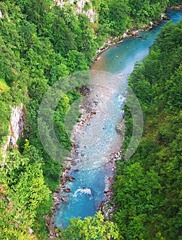 Tara River photo