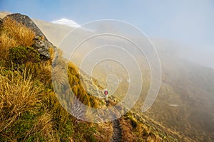 Taranaki