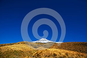 Taranaki