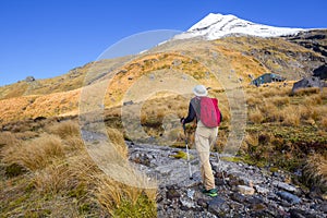 Taranaki