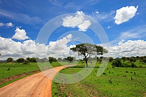 Tarangire national park