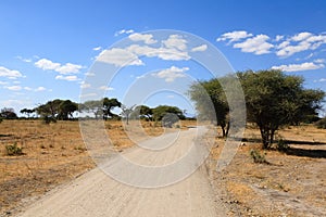 Tarangire National Park landscape, Tanzania, Africa